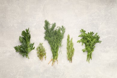 Photo of Different aromatic herbs on gray textured table, flat lay