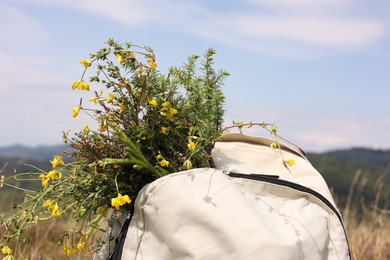 Photo of Bouquet of beautiful yellow flowers and backpack near mountains outdoors, closeup