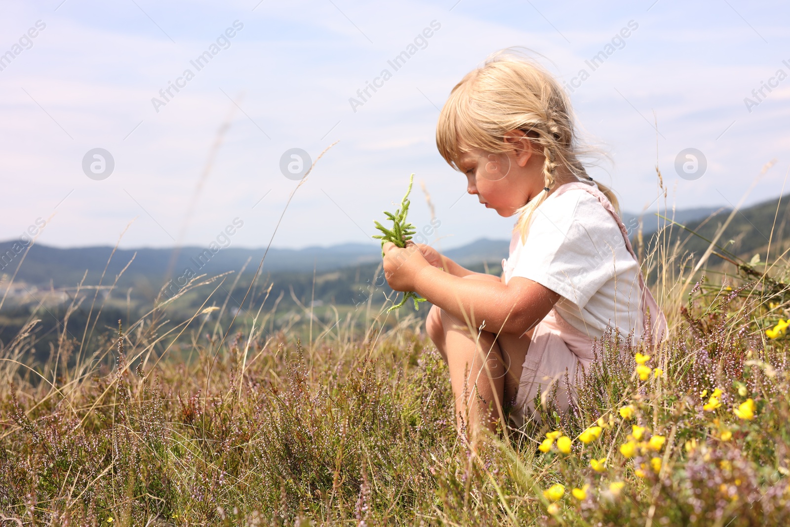 Photo of Little girl with bouquet of wildflowers at field, space for text