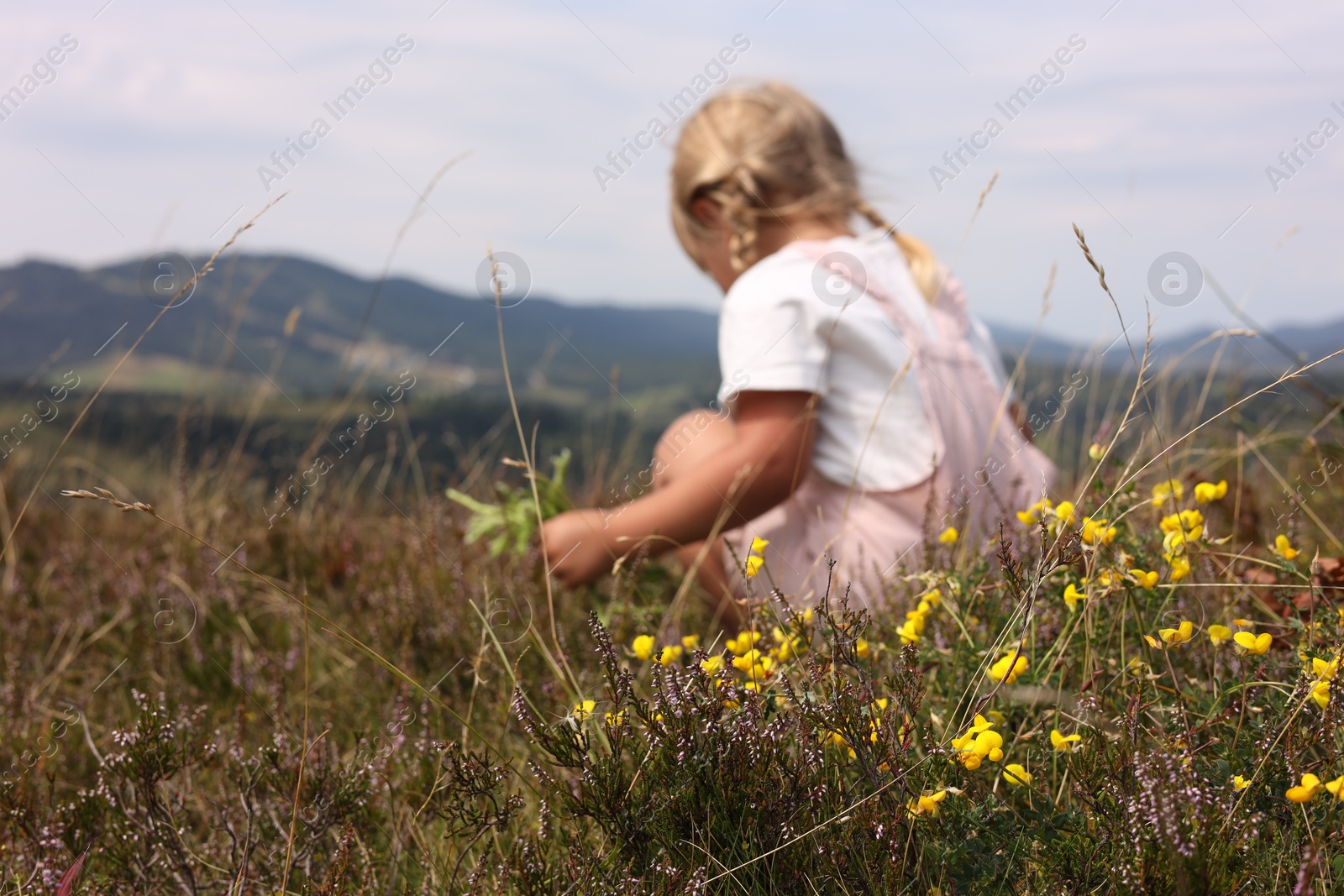 Photo of Little girl with bouquet of wildflowers at field, back view. Space for text