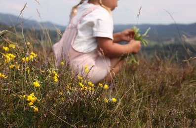 Little girl with bouquet of wildflowers at field, selective focus