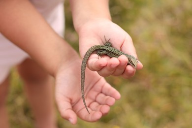 Photo of Little girl holding small lizard outdoors, closeup