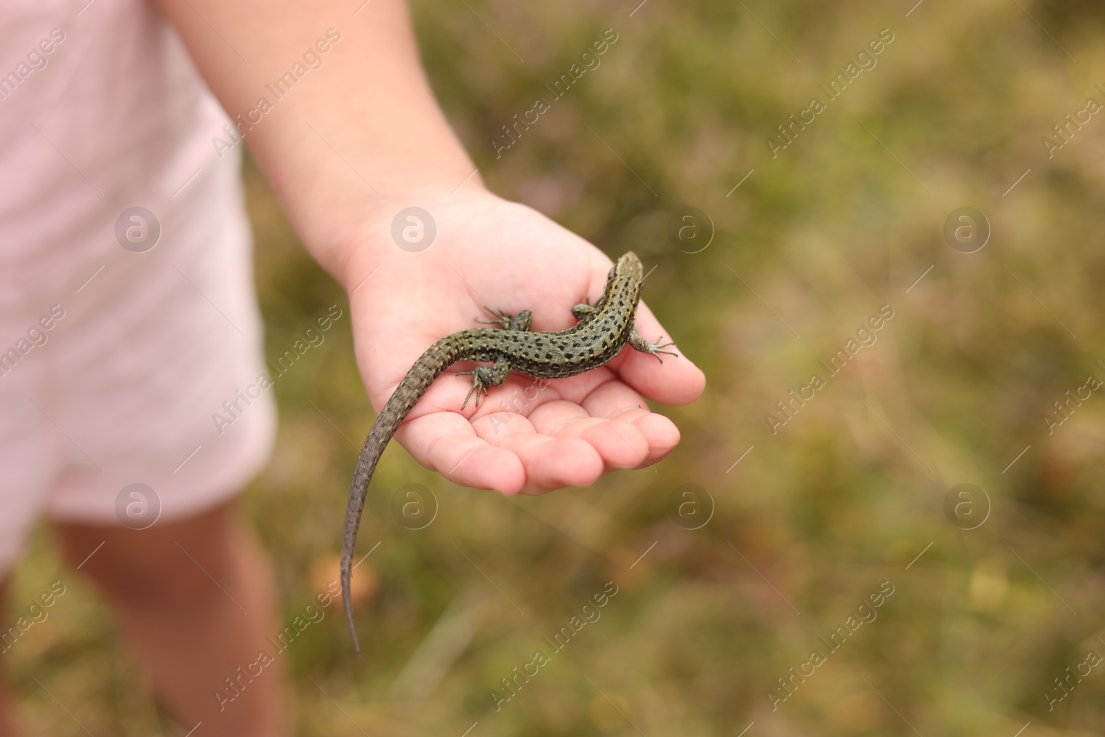 Photo of Little girl holding small lizard outdoors, closeup. Space for text