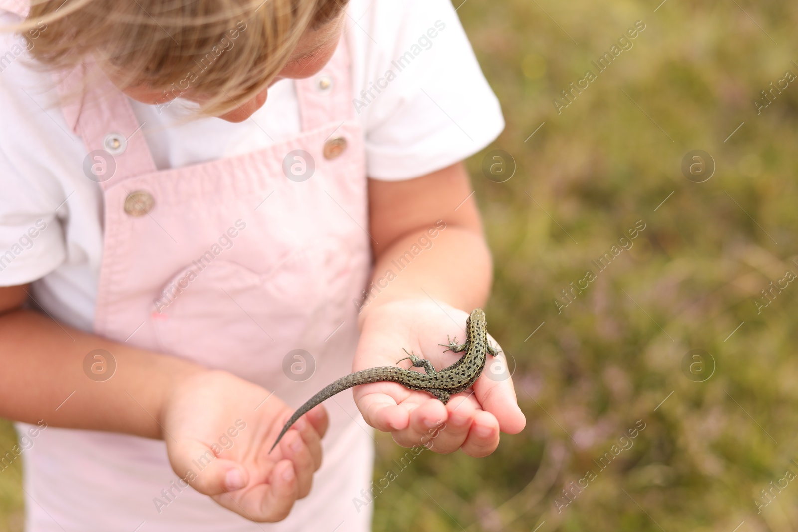 Photo of Little girl holding small lizard outdoors, closeup. Space for text