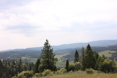 Beautiful view of forest in mountains under blue sky