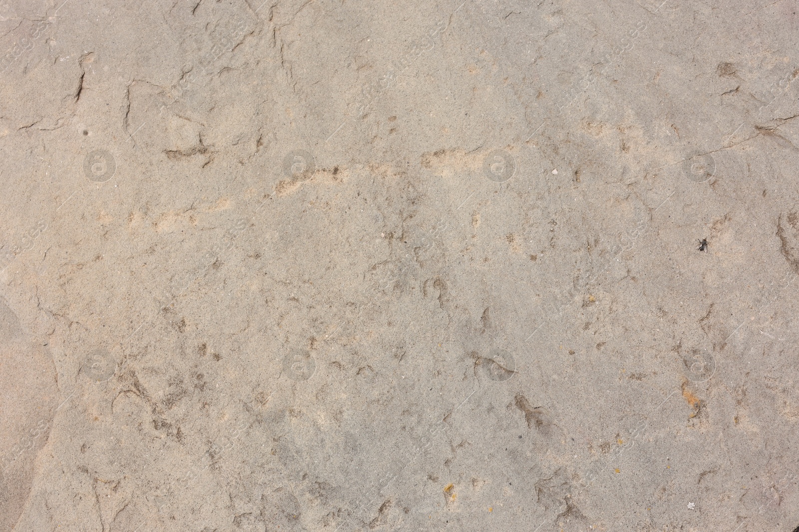 Photo of Texture of grey stone surface as background, closeup