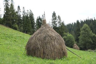 Pile of hay on field in mountains