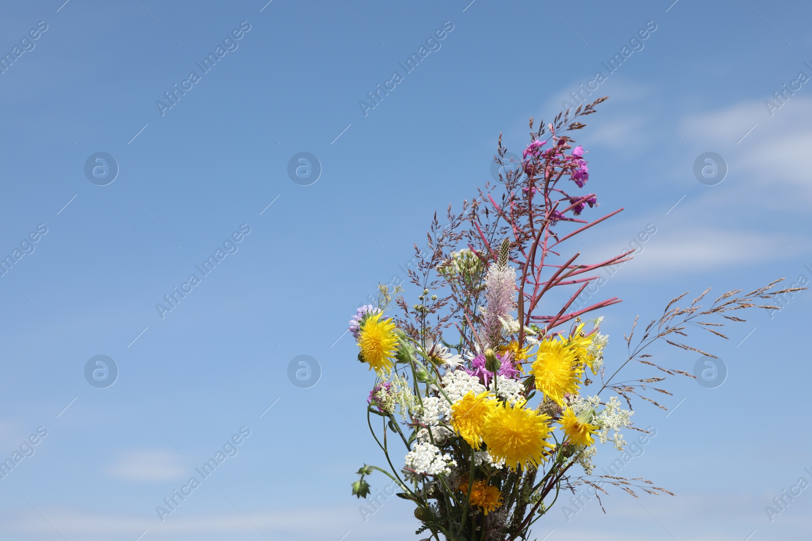 Photo of Woman holding bouquet of wild flowers outdoors, closeup