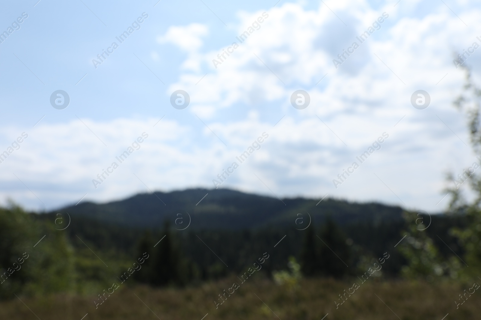 Photo of Blurred view of forest in mountains under blue sky