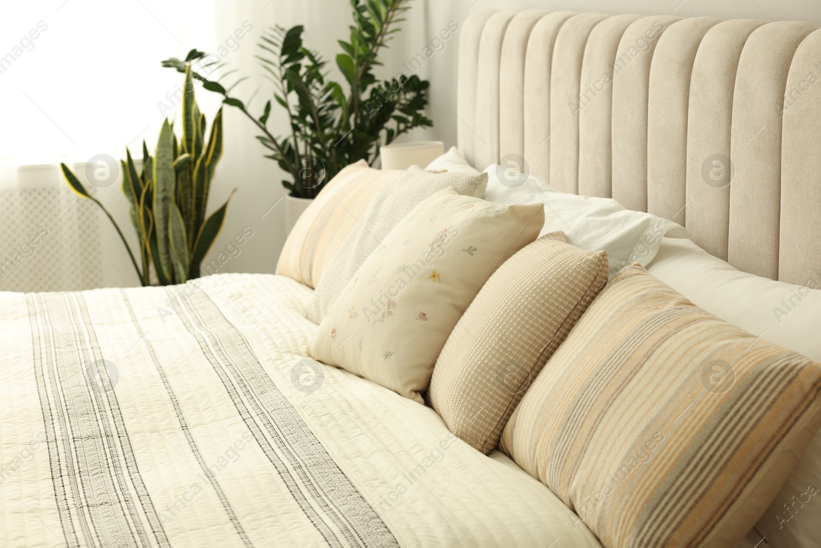 Photo of Large bed and houseplants in stylish room