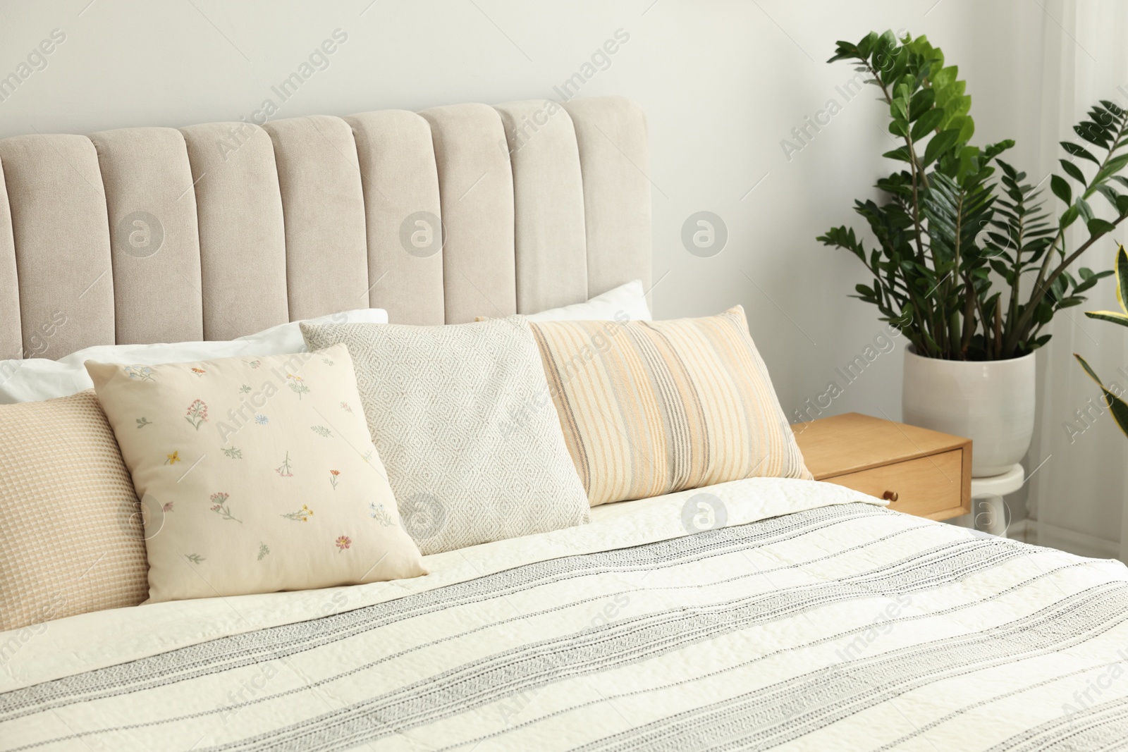 Photo of Large bed, houseplant and bedside table in stylish room