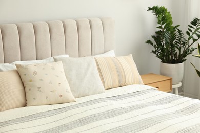 Photo of Large bed, houseplant and bedside table in stylish room