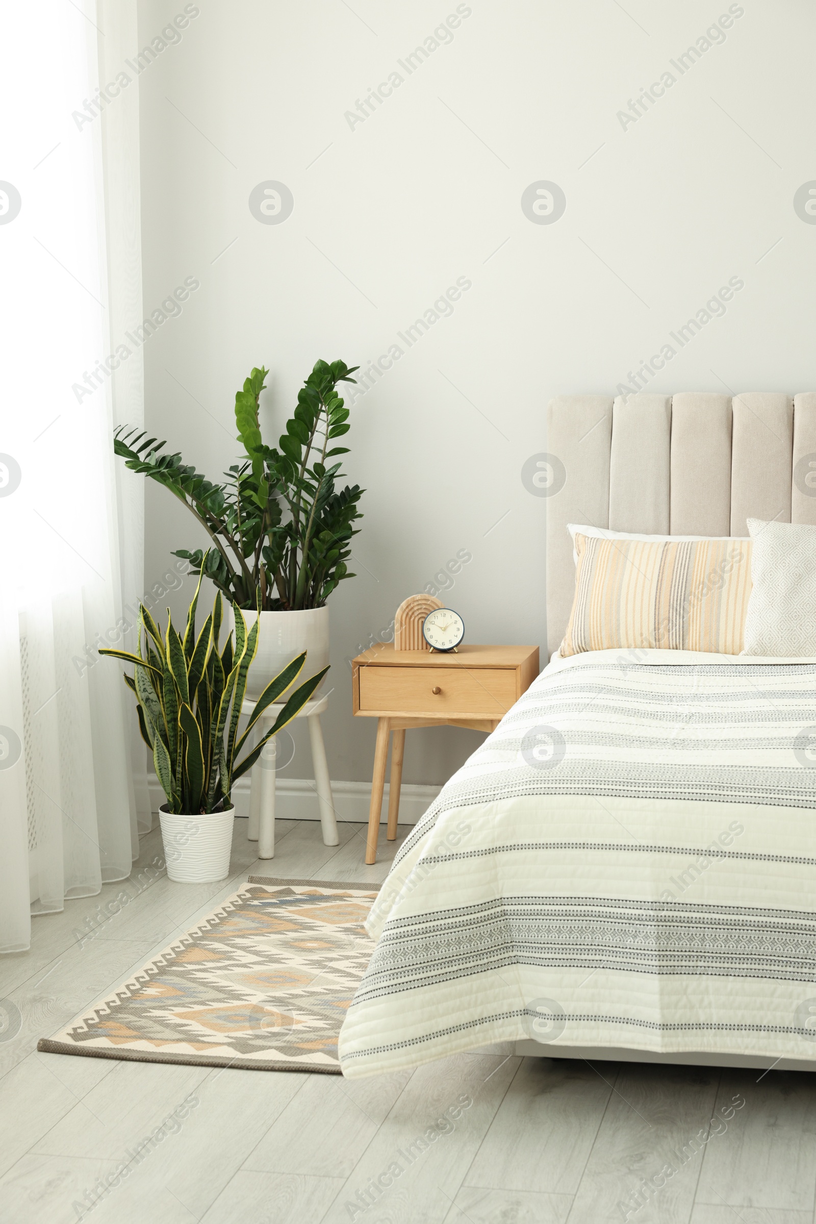 Photo of Large bed, houseplants and bedside table in stylish room