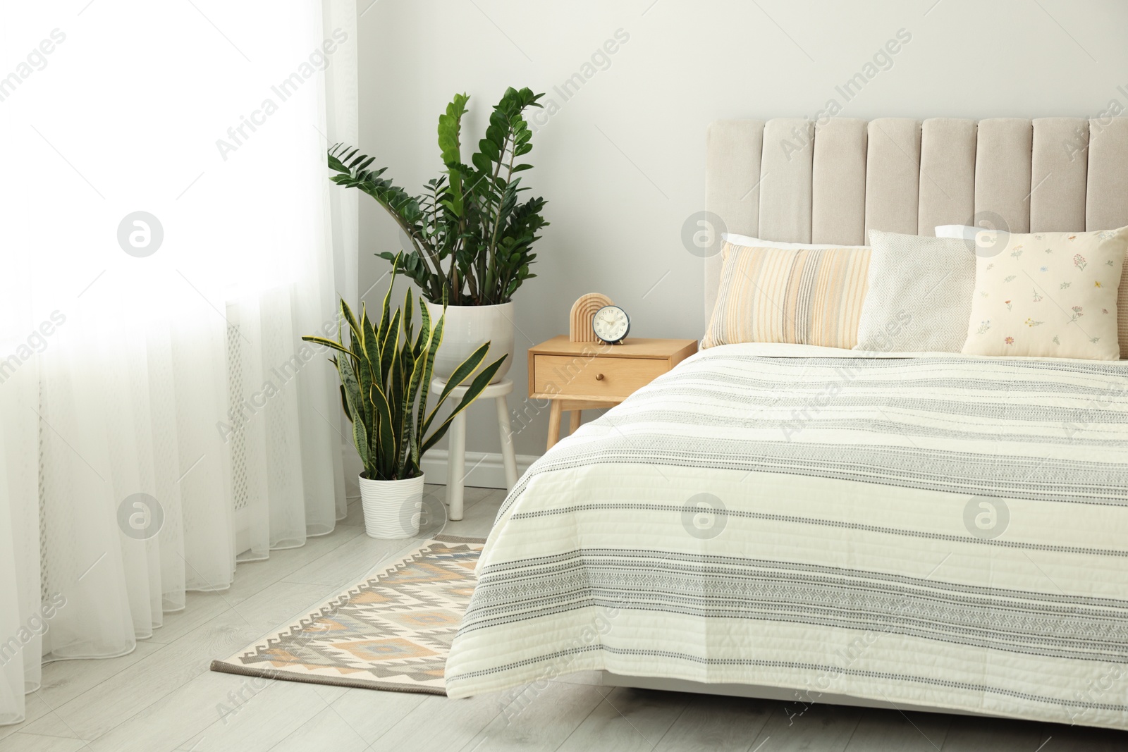 Photo of Large bed, houseplants and bedside table in stylish room