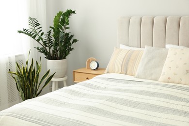 Photo of Large bed, houseplants and bedside table in stylish room