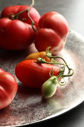 Photo of Different ripe and unripe tomatoes on grey table, closeup