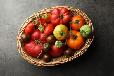 Different ripe and unripe tomatoes in wicker basket on grey table, top view