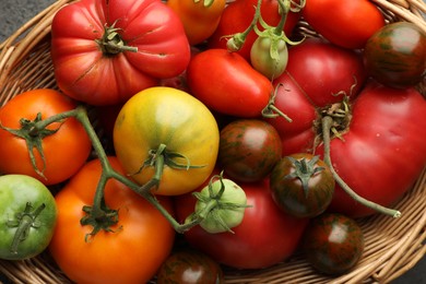 Different ripe and unripe tomatoes in wicker basket on grey table, flat lay