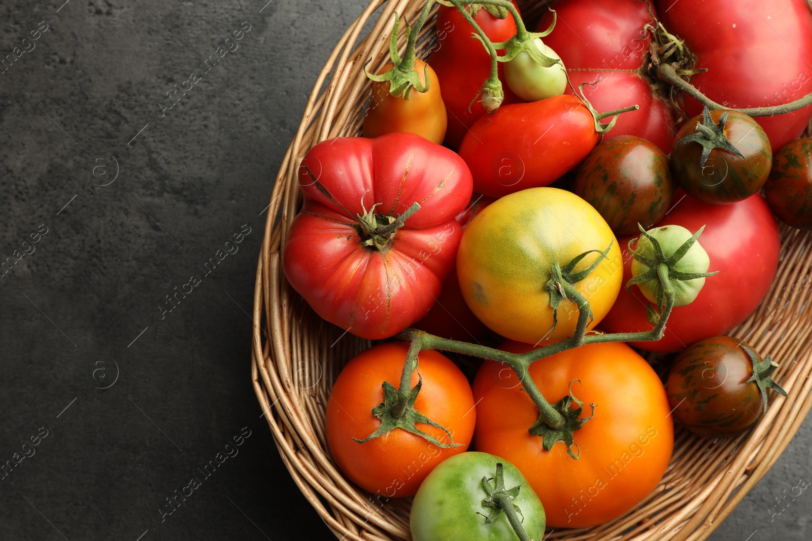 Photo of Different ripe and unripe tomatoes in wicker basket on grey table, top view