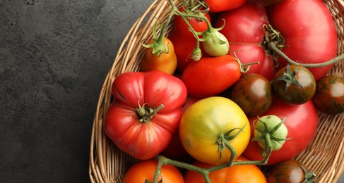 Different ripe and unripe tomatoes in wicker basket on grey table, top view