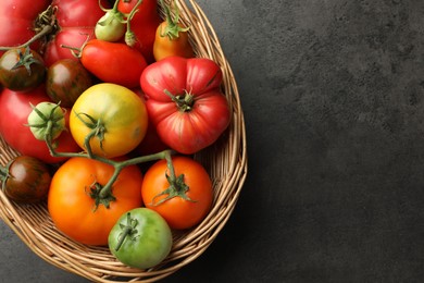 Photo of Different ripe and unripe tomatoes in wicker basket on grey table, top view. Space for text