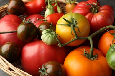 Different ripe and unripe tomatoes in wicker basket on table, closeup