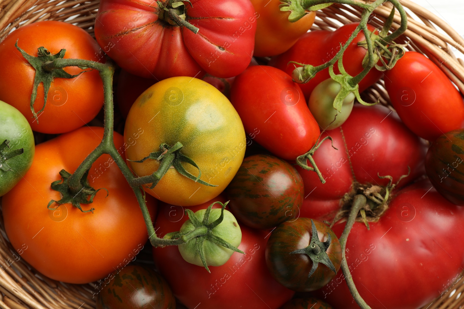 Photo of Different ripe and unripe tomatoes in wicker basket on white table, flat lay