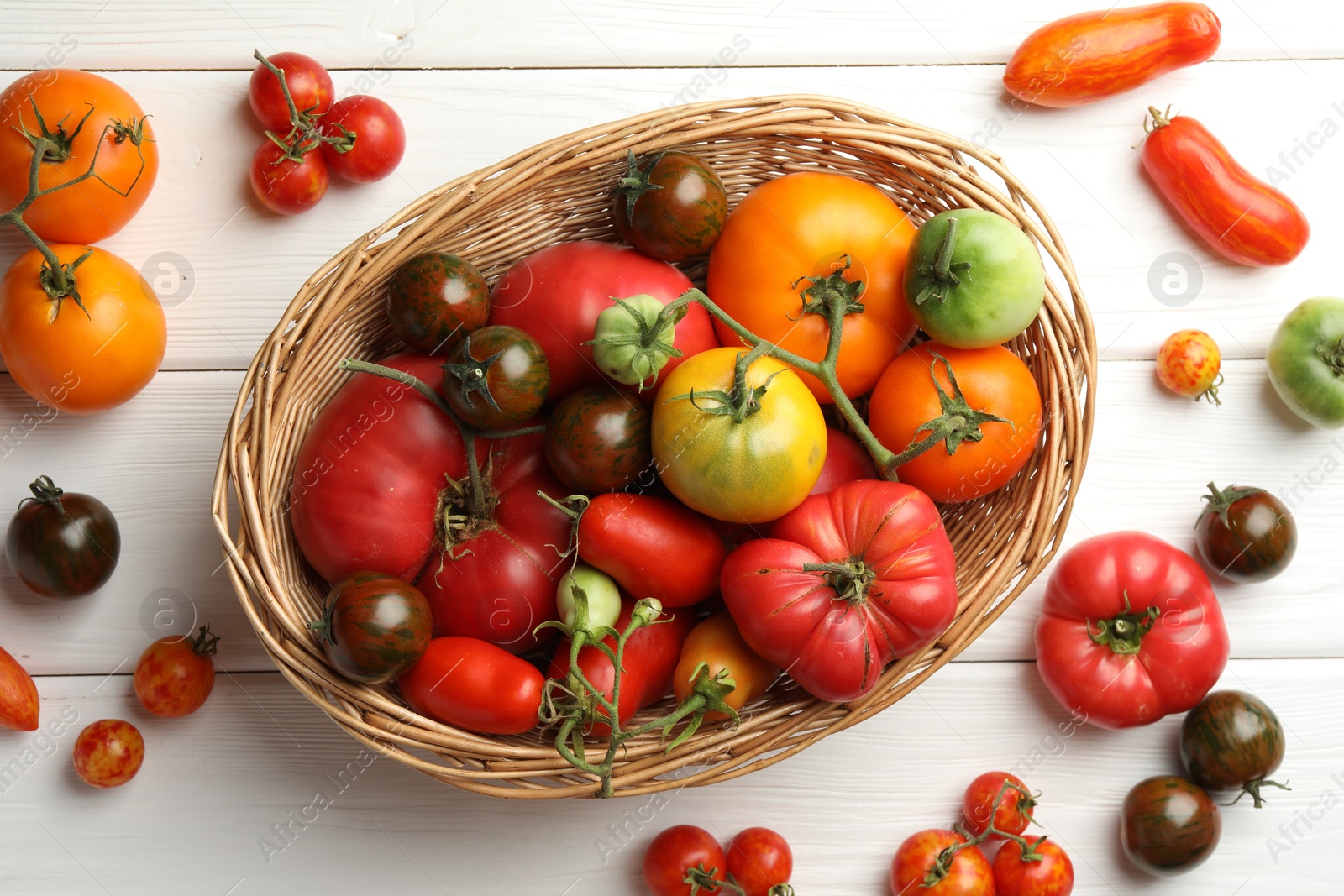 Photo of Different ripe and unripe tomatoes on white wooden table, flat lay