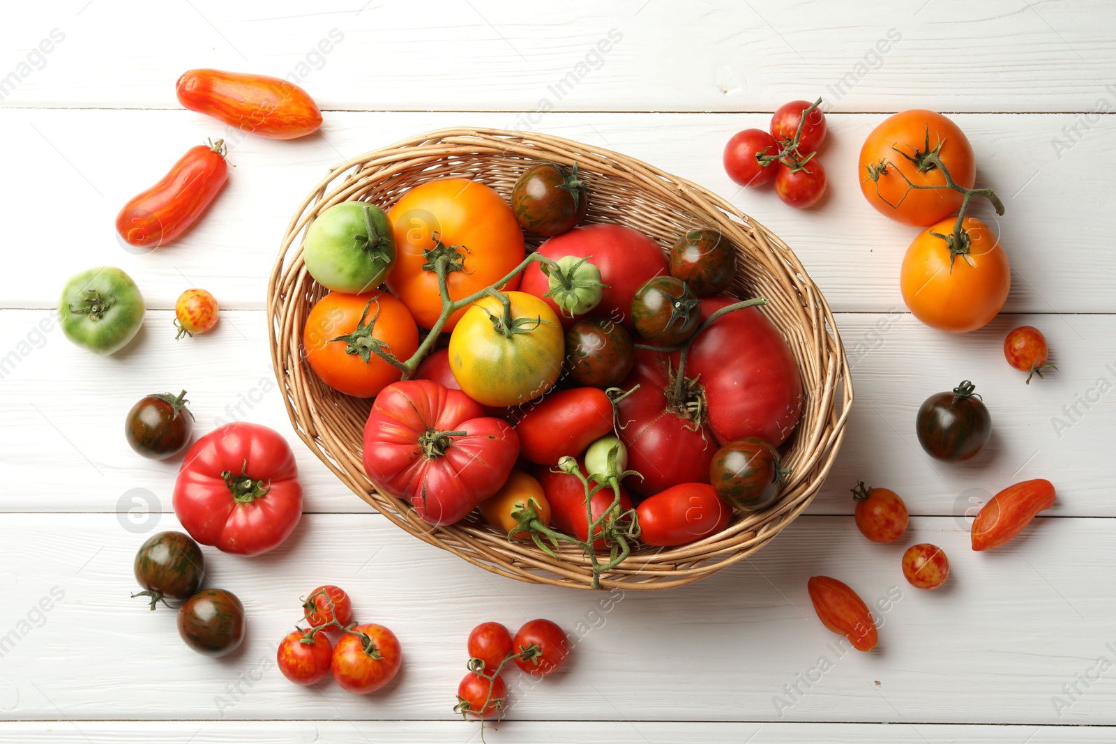 Photo of Different ripe and unripe tomatoes on white wooden table, flat lay