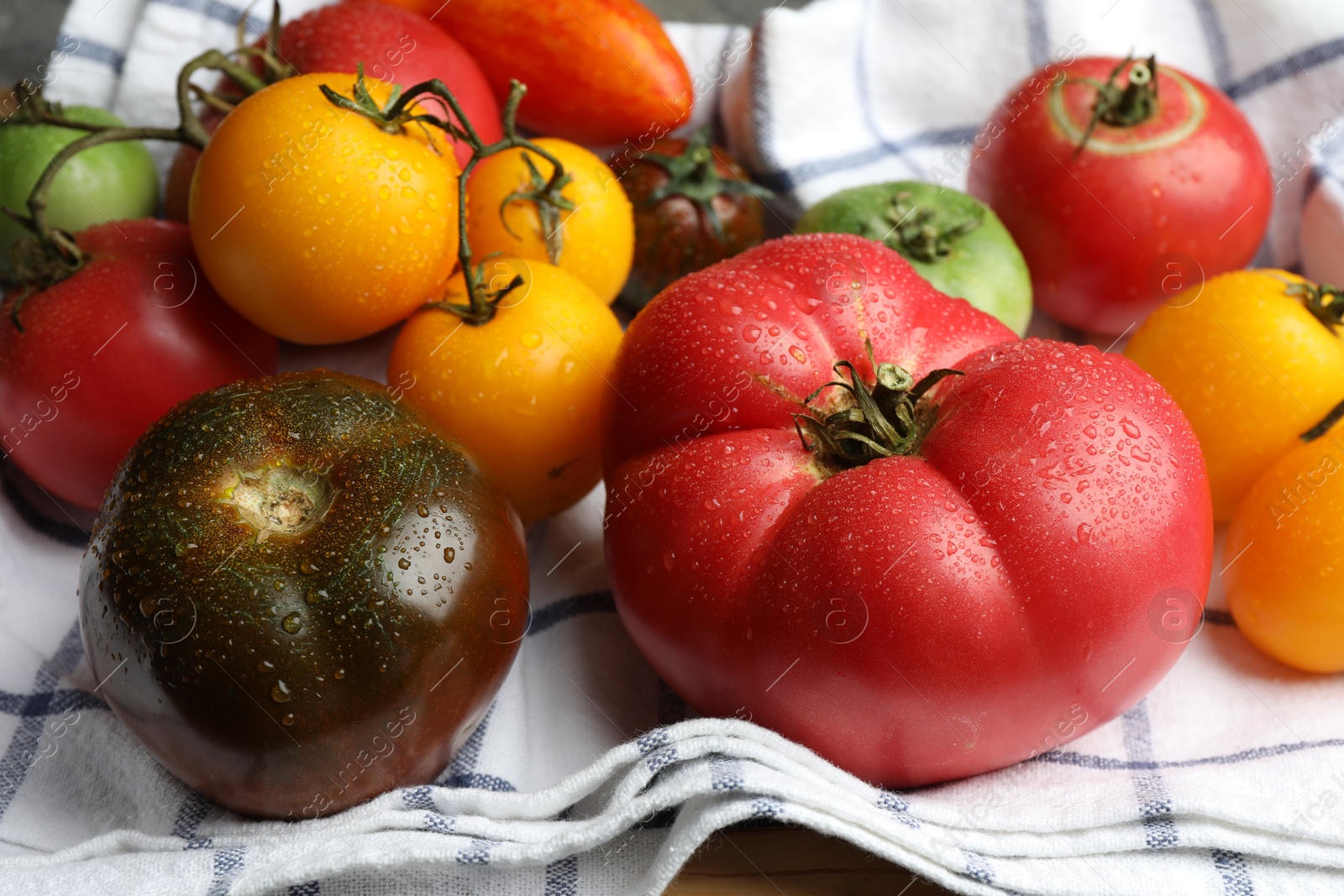 Photo of Different ripe and unripe tomatoes on table, closeup