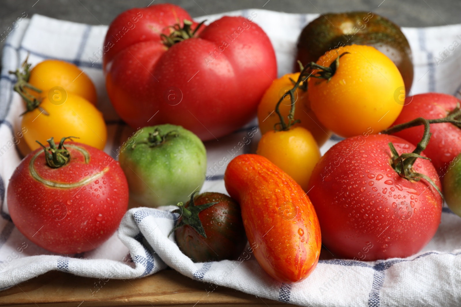 Photo of Different ripe and unripe tomatoes on table, closeup