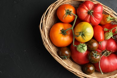 Different ripe and unripe tomatoes in wicker basket on grey textured table, top view. Space for text