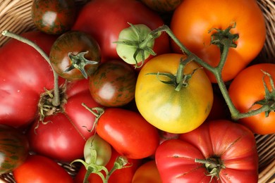 Different ripe and unripe tomatoes in wicker basket, flat lay