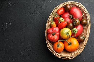 Different ripe and unripe tomatoes in wicker basket on grey textured table, top view. Space for text