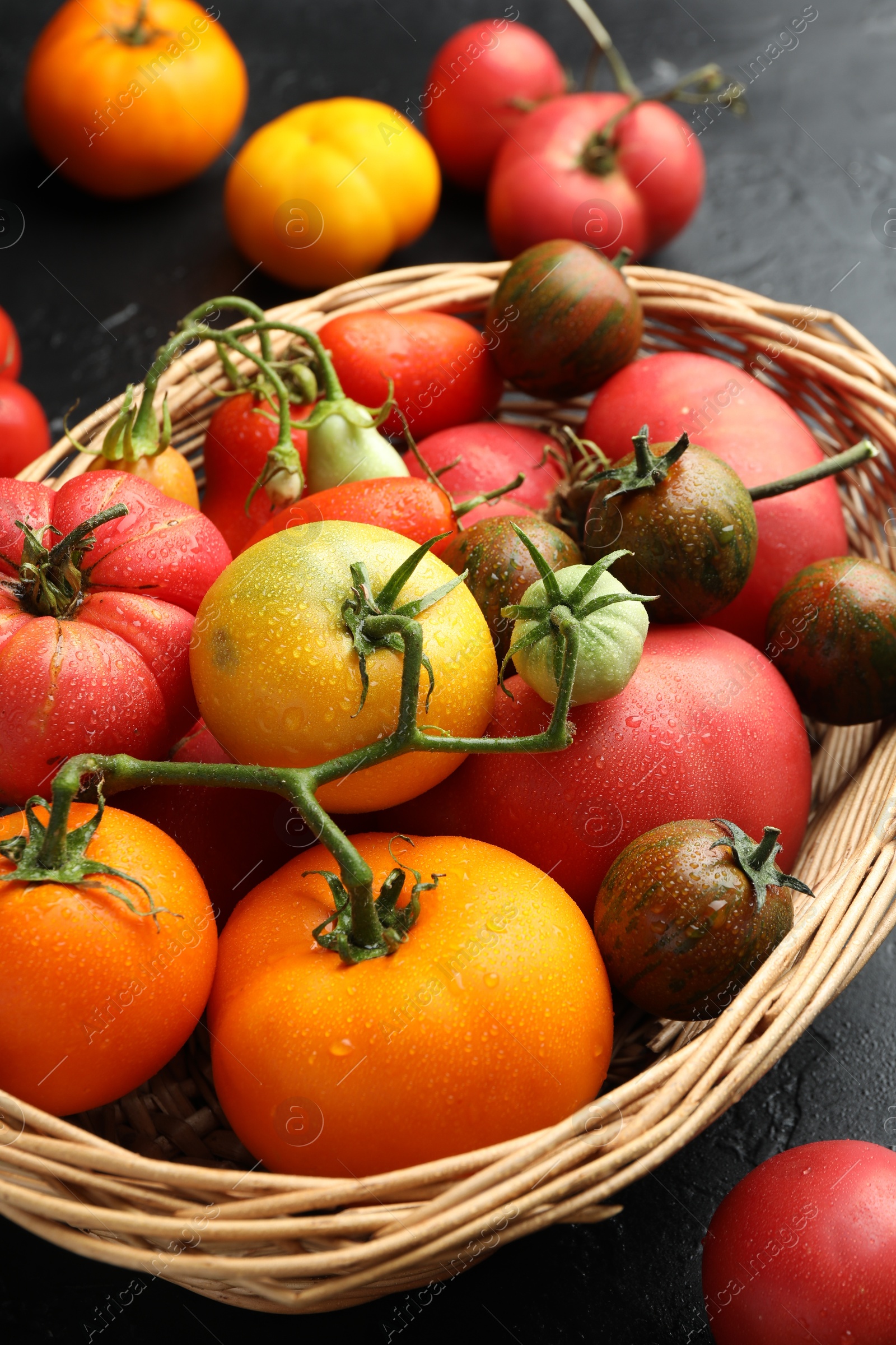 Photo of Different ripe and unripe tomatoes in wicker basket on grey table