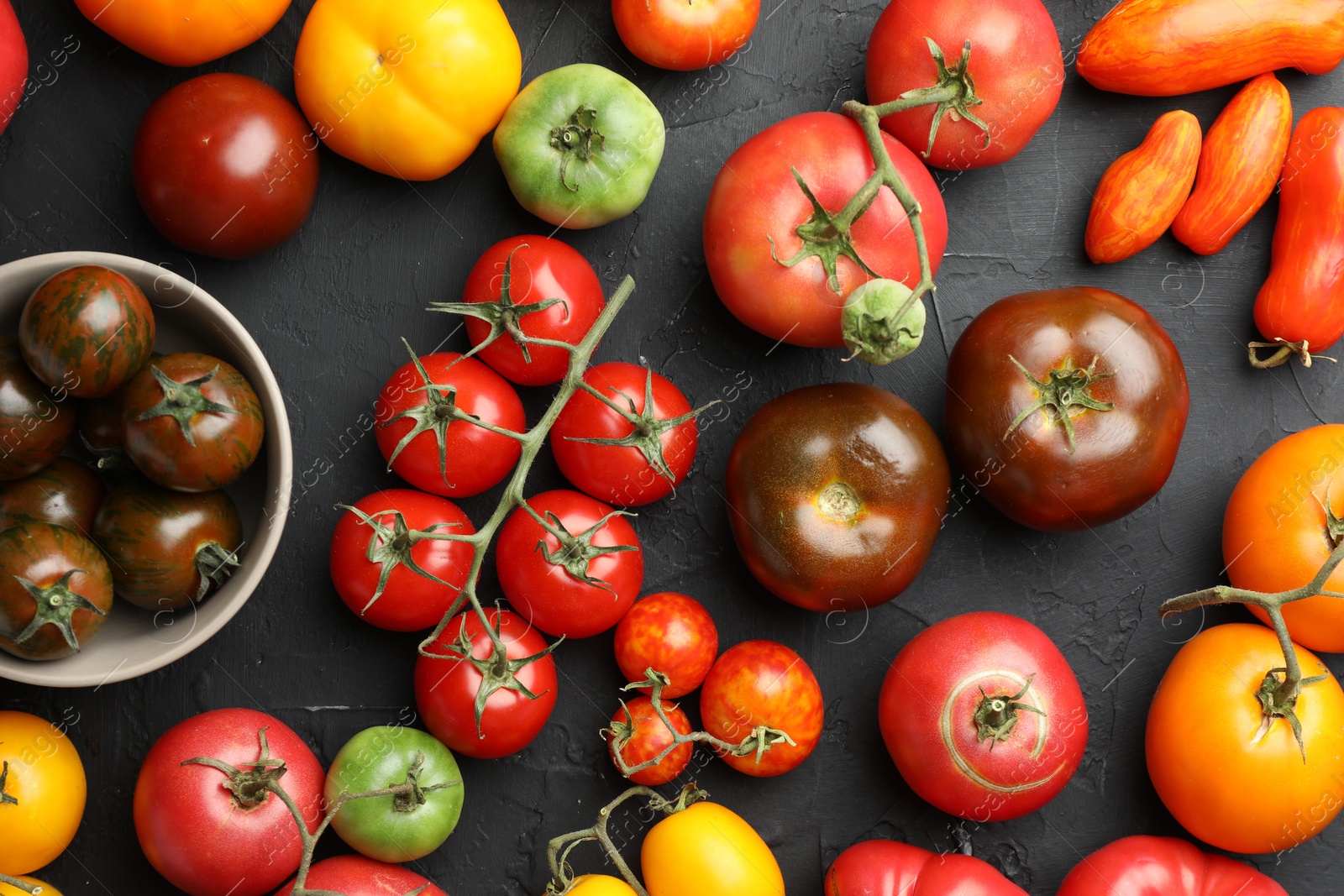 Photo of Different fresh tomatoes on grey textured table, flat lay