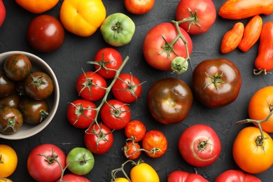 Different fresh tomatoes on grey textured table, flat lay