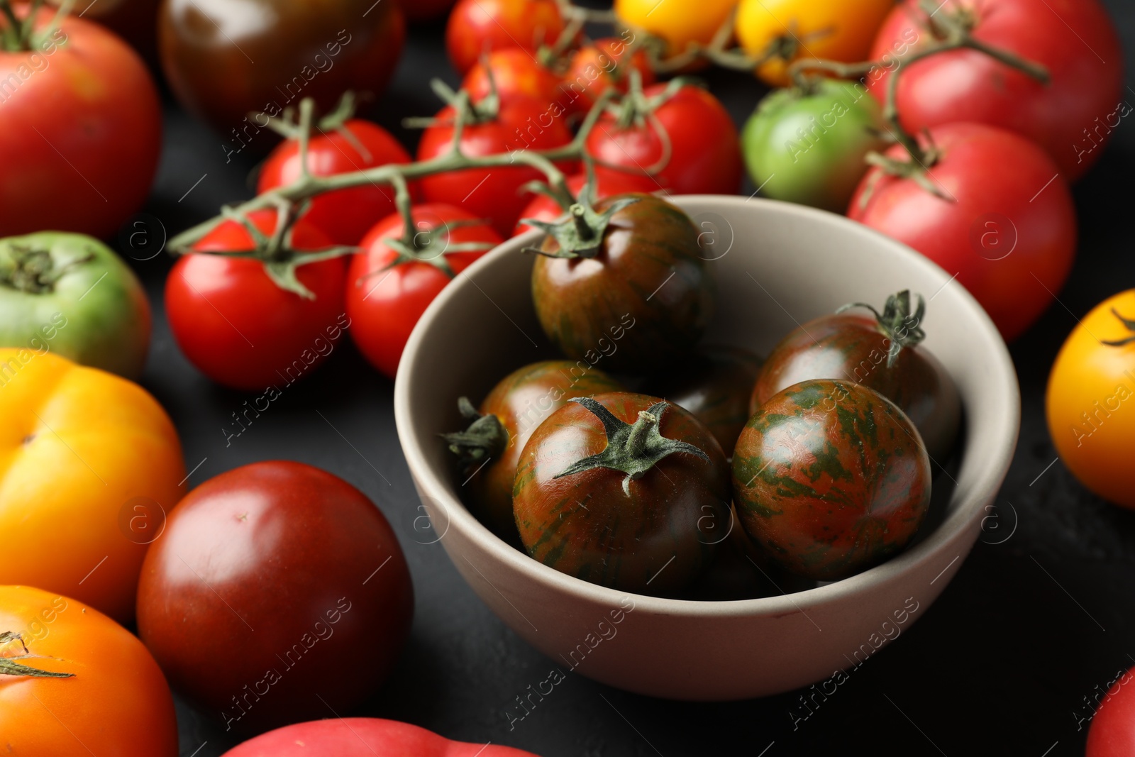 Photo of Many different fresh tomatoes on grey table, closeup