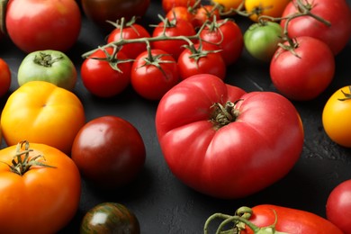 Many different fresh tomatoes on grey textured table, closeup