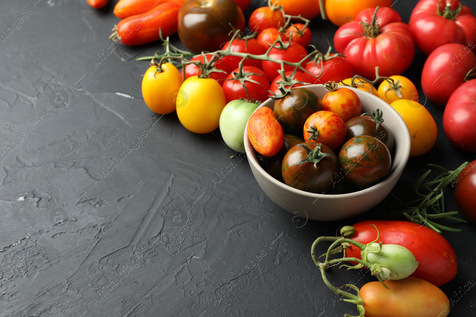 Photo of Different fresh tomatoes on grey textured table. Space for text