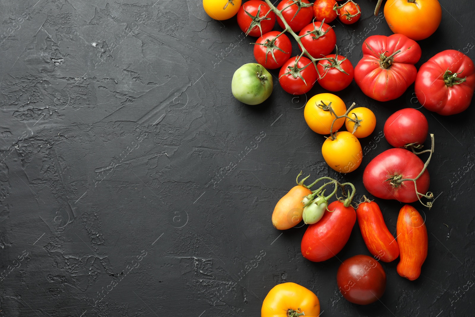 Photo of Different fresh tomatoes on grey textured table, flat lay. Space for text