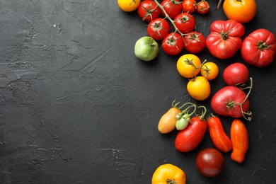 Different fresh tomatoes on grey textured table, flat lay. Space for text