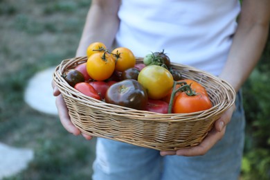 Photo of Woman holding wicker basket of different fresh tomatoes outdoors, closeup