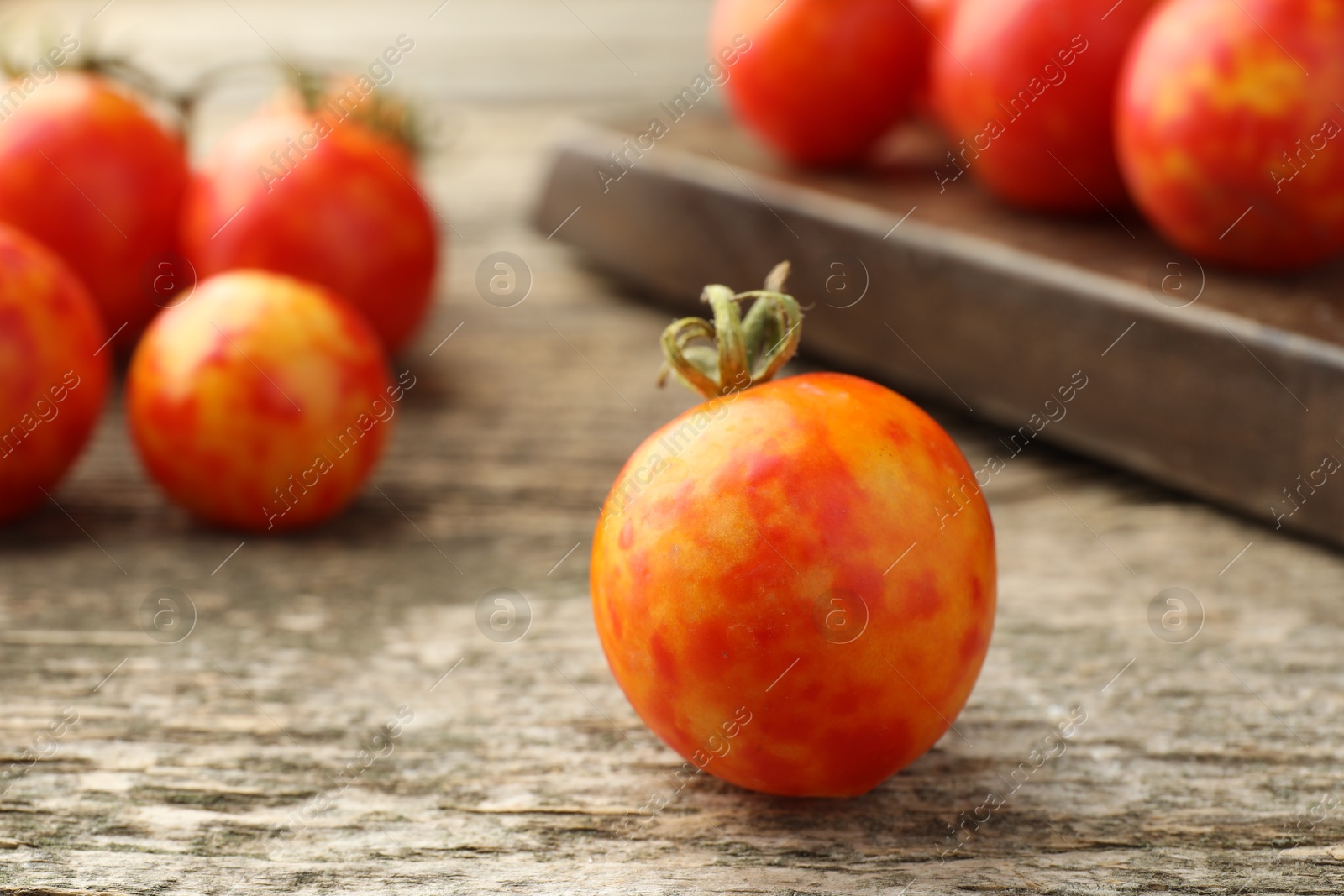 Photo of Fresh ripe tomatoes on wooden table, closeup