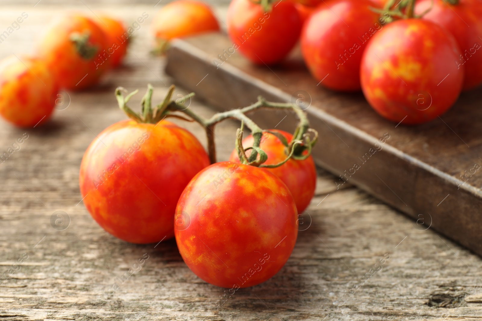 Photo of Fresh ripe tomatoes on wooden table, closeup