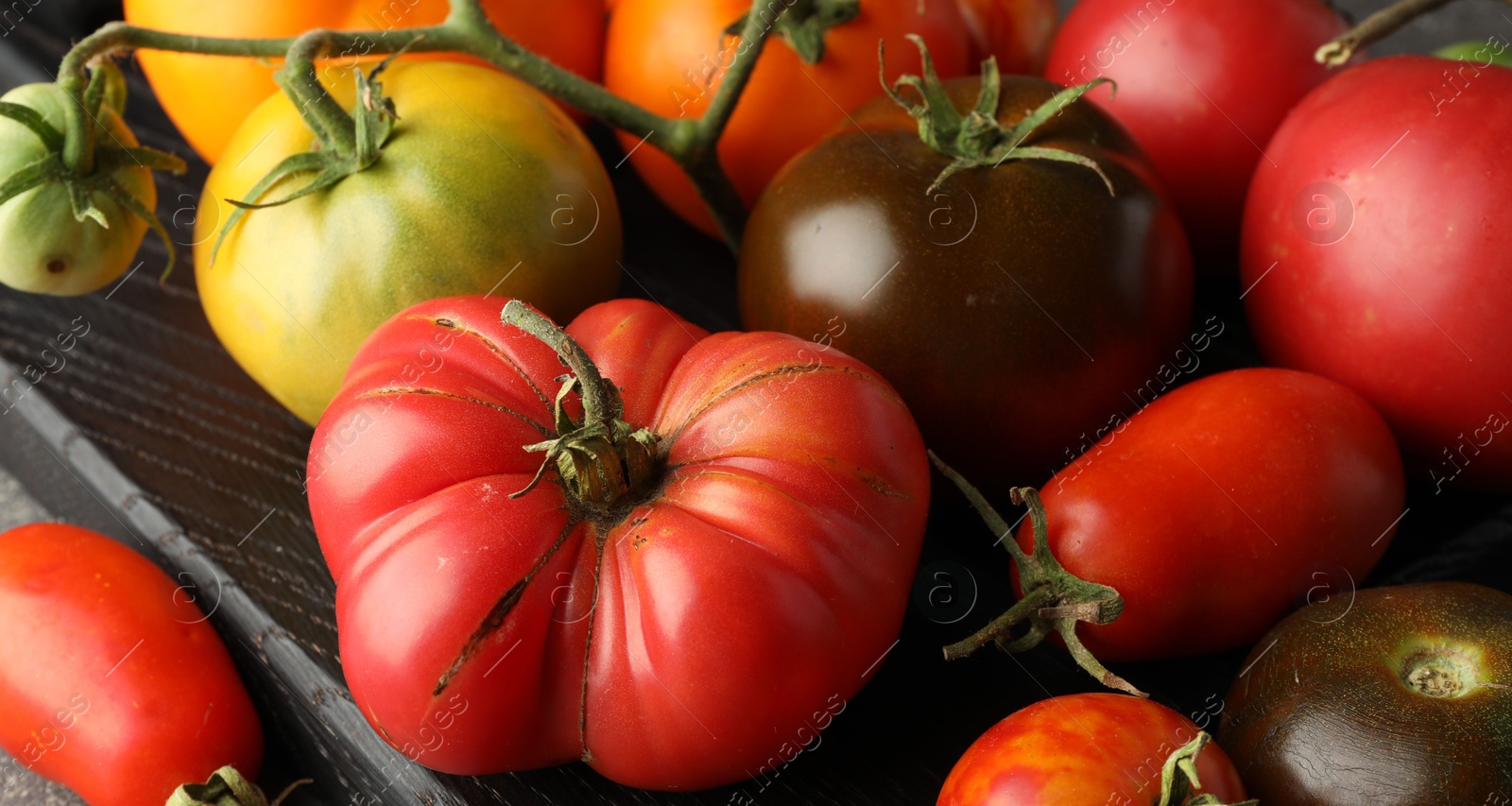 Photo of Different ripe tomatoes on grey table, closeup