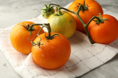 Branch of yellow tomatoes on grey textured table, closeup