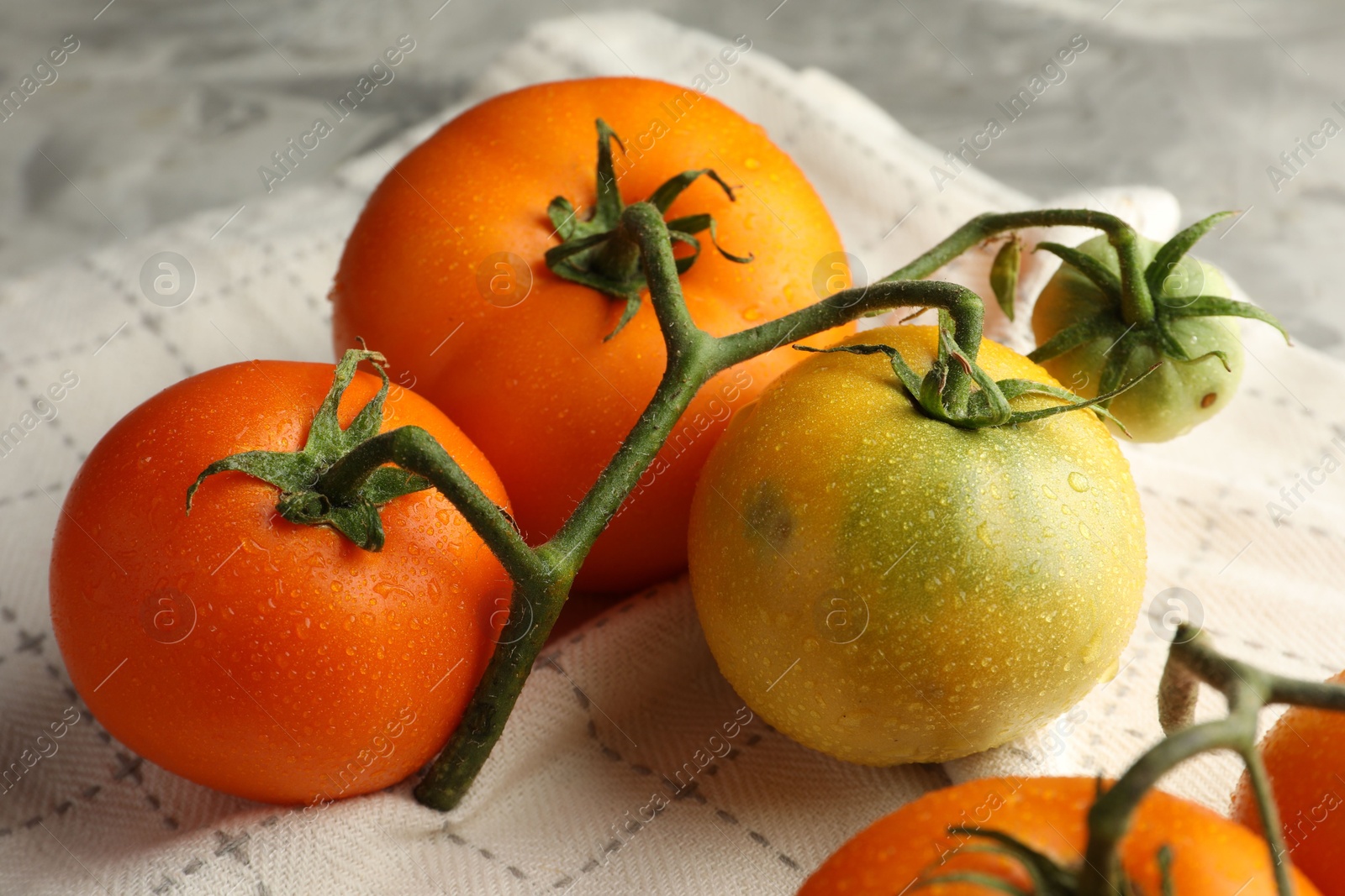 Photo of Branch of yellow tomatoes on grey textured table, closeup