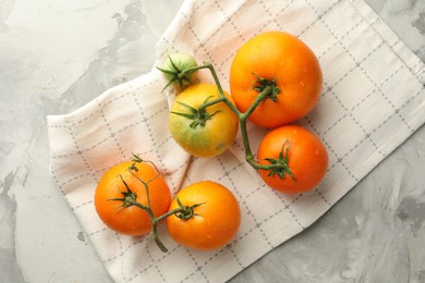 Photo of Branch of yellow tomatoes on grey textured table, top view