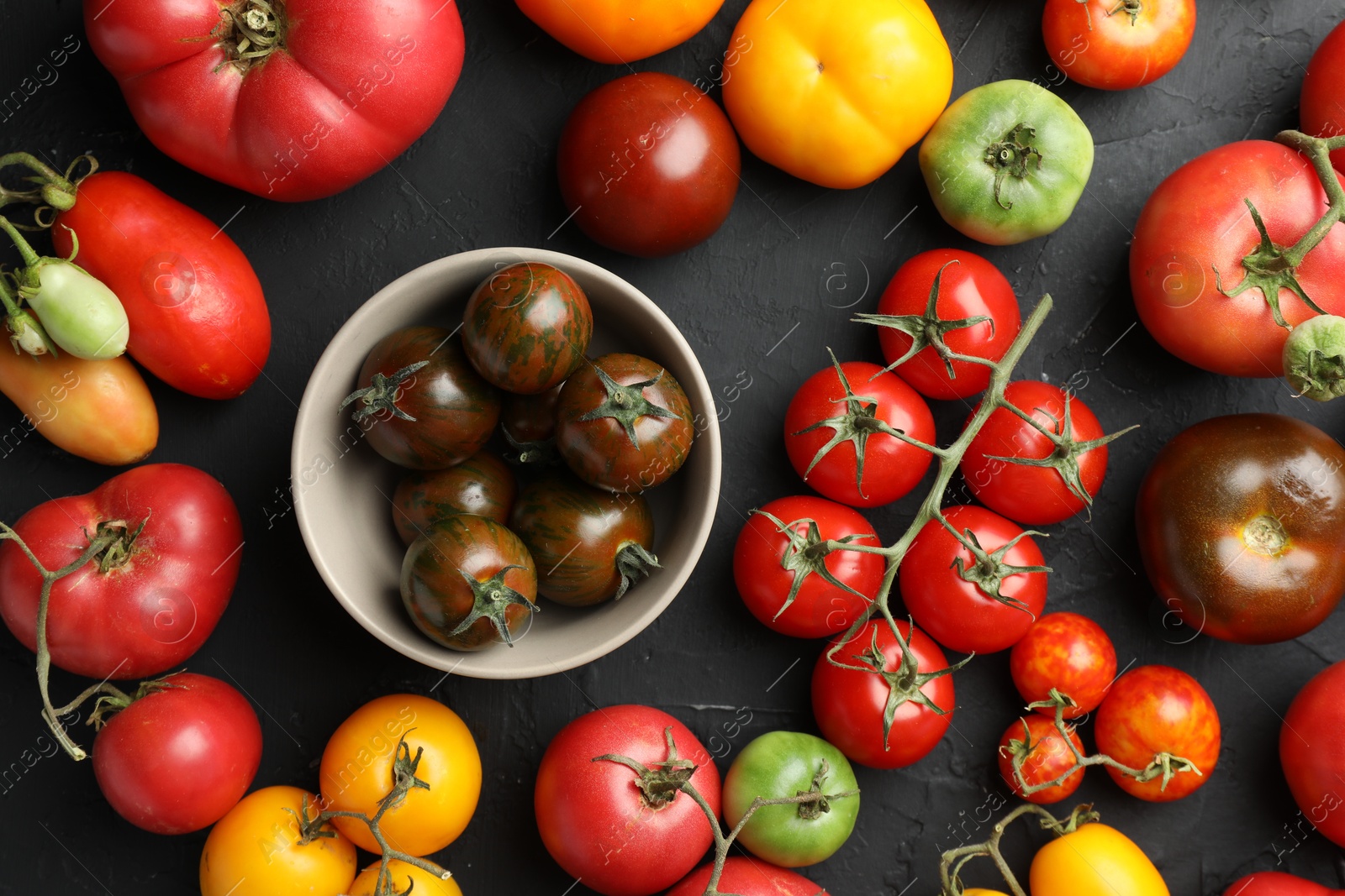 Photo of Different fresh tomatoes on grey textured table, flat lay